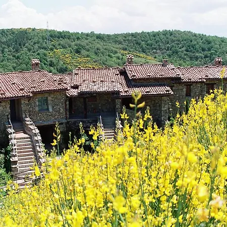 Le Ginestre Di Greppolischieto Piegaro (Umbria)