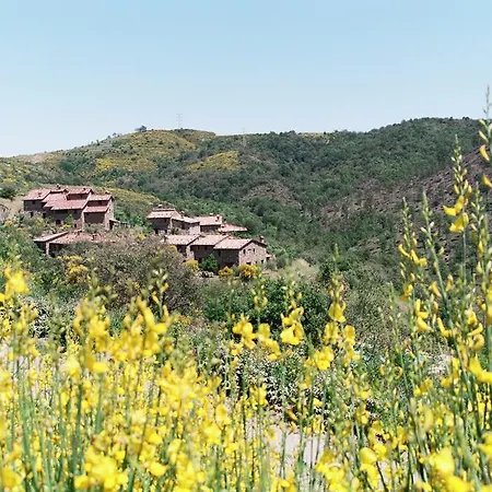 Le Ginestre Di Greppolischieto Prázdninový dům Piegaro (Umbria)